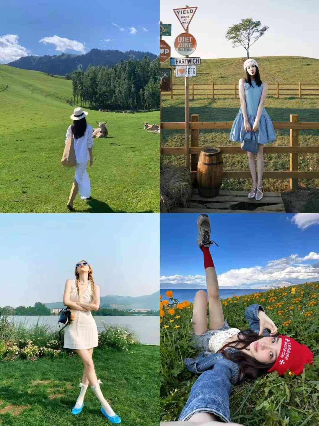 53267